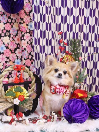 20250114りるちゃん